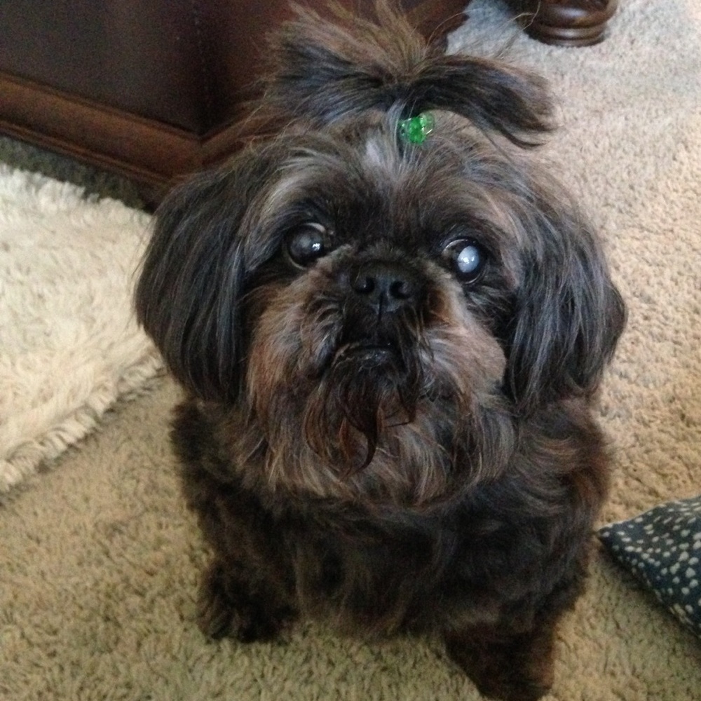 HI THERE💜I'M TILLIE - Picture 8 of 10